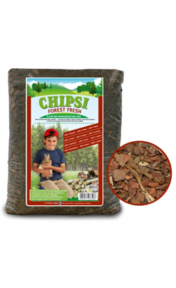 https://cdn.shopify.com/s/files/1/0916/7627/9129/files/Chipsi_Forest_Fresh.png?v=1737454026