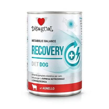 https://cdn.shopify.com/s/files/1/0916/7627/9129/files/DSDT020.webp?v=1776963774