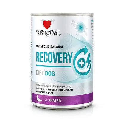 https://cdn.shopify.com/s/files/1/0916/7627/9129/files/DSDT021.webp?v=1776963736