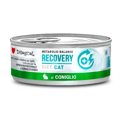 Disugual Diet Gato Recuperação Coelho | 12 X 85Gr