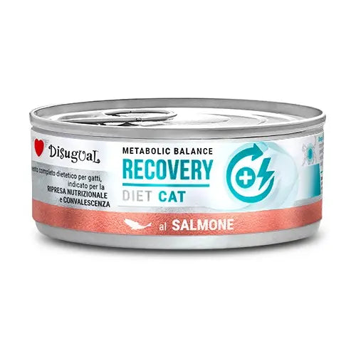 DISUGUAL DIET CAT RECOVERY SALMON | 12 X 85GR