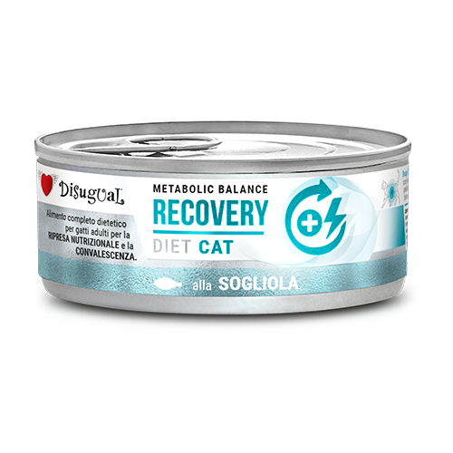 Disugual Diet Recovery Cat Sole - Wet food for recovering cats