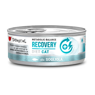 Disugual Diet Recovery Gato Linguado - Ração húmida para gato em recuperação