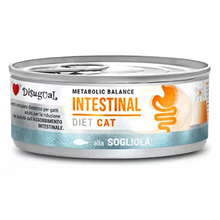 Disugual Diet Intestinal Gato - Comida húmeda para gato con problemas intestinales