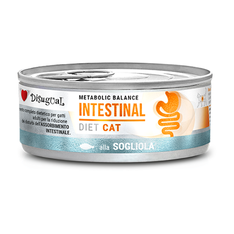 Disugual Diet Intestinal Gato - Ração húmida para gato com problemas intestinais