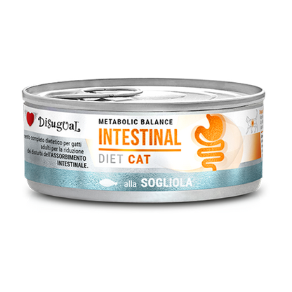 Disugual Diet Intestinal Gato - Ração húmida para gato com problemas intestinais