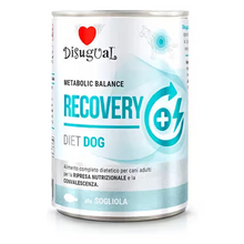 Disugual Diet Recovery Dog Sole - Wet dog food