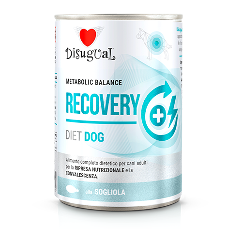 Disugual Diet Recovery Perro Lenguado - Comida húmeda para perro