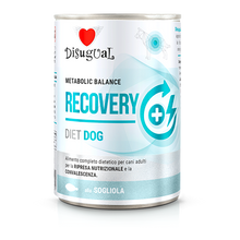 Disugual Diet Recovery Perro Lenguado - Comida húmeda para perro