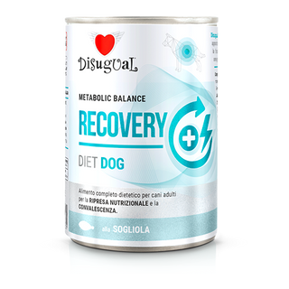 Disugual Diet Recovery Perro Lenguado - Comida húmeda para perro