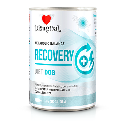 Disugual Diet Recovery Perro Lenguado - Comida húmeda para perro