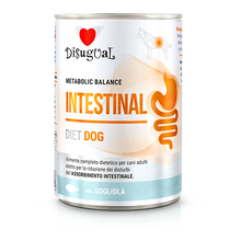 Disugual Diet Intestinal Dog - Wet food for dogs with intestinal problems