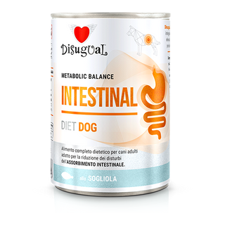 Disugual Diet Intestinal Cão - Ração húmida para cão com problemas intestinais