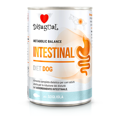 Disugual Diet Intestinal Cão - Ração húmida para cão com problemas intestinais