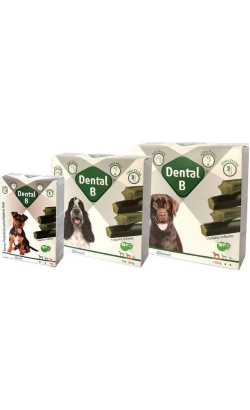 https://cdn.shopify.com/s/files/1/0916/7627/9129/files/DentalB_14_Barras_4c059db2-f54d-4bae-96c2-1621ff8aaef4.png?v=1737393166
