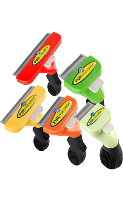 Escova Furminator | Pêlo longo | Cão para cão | Cão Miniatura