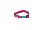 FREEDOG Collar Nylon Basic Granate 20 / 35 cm - Dog collar