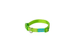 FREEDOG Collar Nylon Basic Verde Lima 20 / 35 cm - Coleira para cão