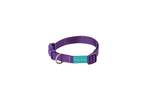 FREEDOG Collar Nylon Basic Lila 20 / 35 cm - Dog collar