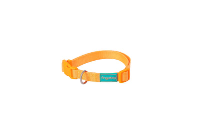 FREEDOG Collar Nylon Basic 35 / 50 cm - Coleira para cão