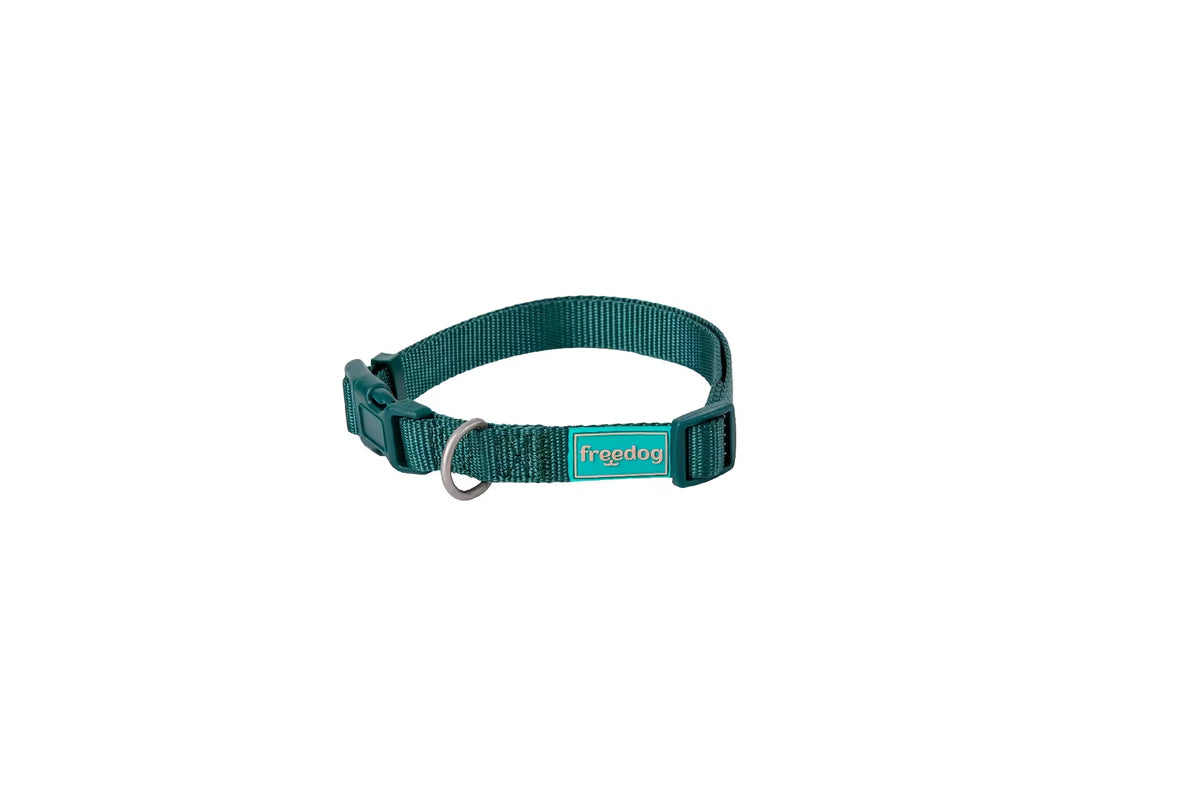 FREEDOG Collar Nylon Basic Verde 15mmx 35 / 50 cm - Dog collar