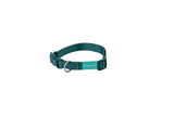 FREEDOG Collar Nylon Basic Verde 15mmx 35 / 50 cm - Dog collar