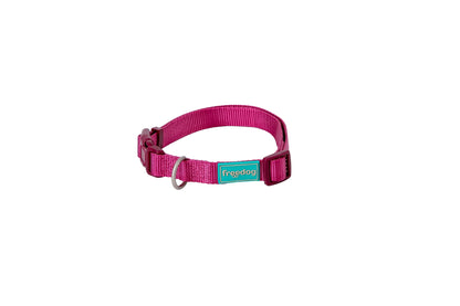 Dog Chow COLLAR NYLON BASIC 25 mm x 38 / 66 cm - Collar para perro