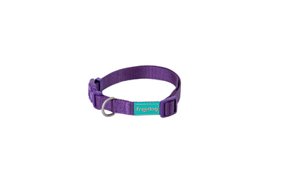 Dog Chow COLLAR NYLON BASIC 25 mm x 38 / 66 cm - Dog collar