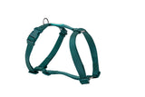 FREEDOG ARNES NYLON BASIC 15 mm x 30 / 50 cm - Arnés para perro