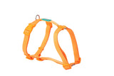 FREEDOG ARNES NYLON BASIC 20 mm x 51 / 70 cm - Arnés para perro