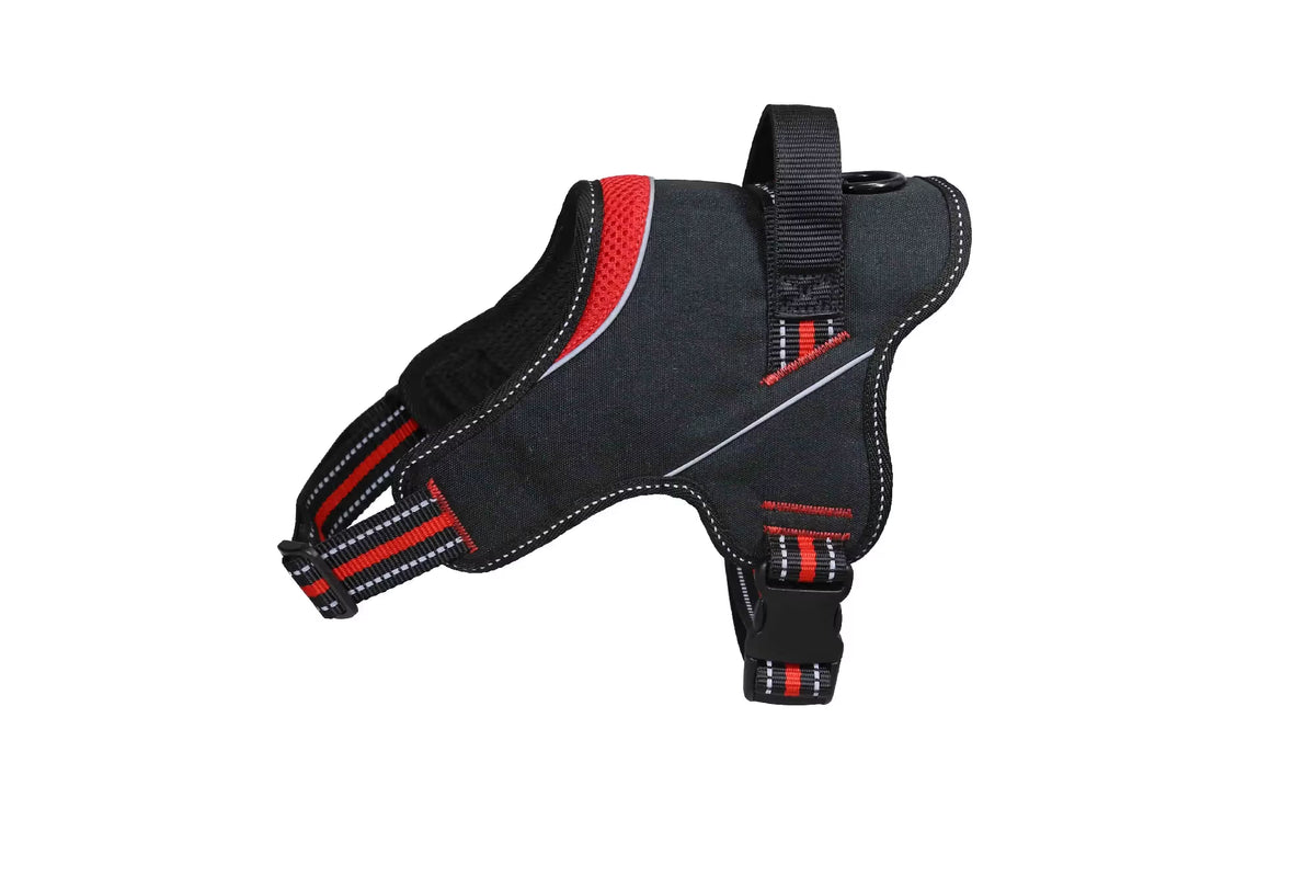 FREEDOG Arnes Strong - Arnês para cão