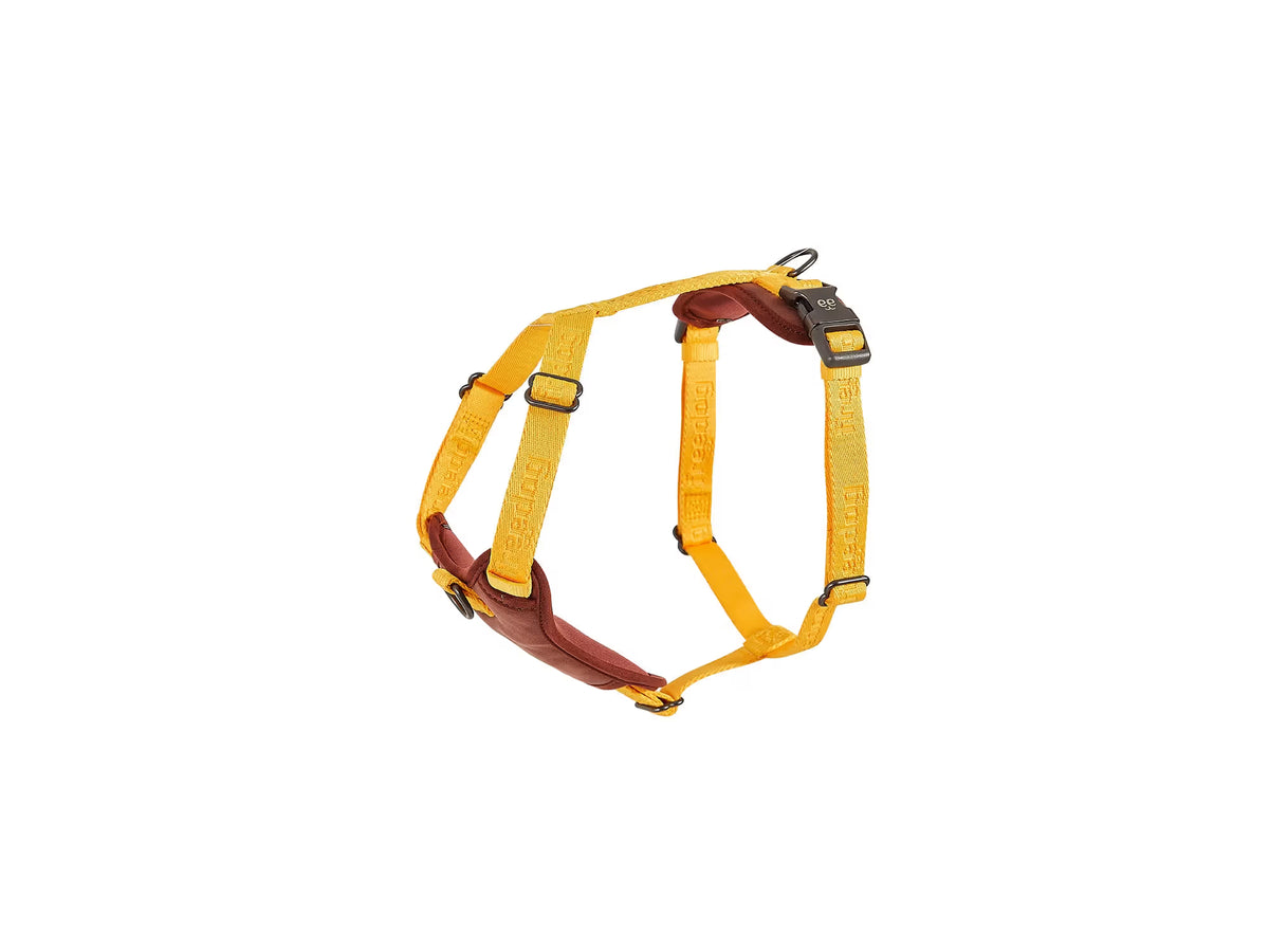 FREEDOG Arnes Linum 20 mm x 51 / 70 cm - Arnés para cão