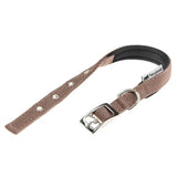 Ferplast Collar Daytona C15 35 - Coleira para cão