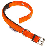 Ferplast Collar Daytona C20 43 - Dog collar