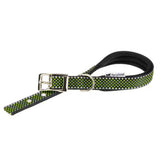 Ferplast Collar Daytona Deluxe C20/43 - Dog collar