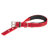 Ferplast Collar Daytona Deluxe C20/43 - Dog collar
