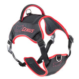 Ferplast Genius XL - Arnés para cão com nylon
