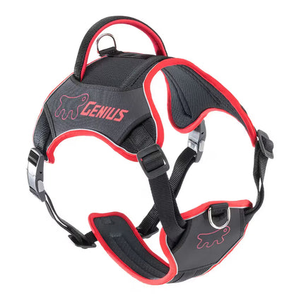 Ferplast Genius XL - Arnés para cão com nylon