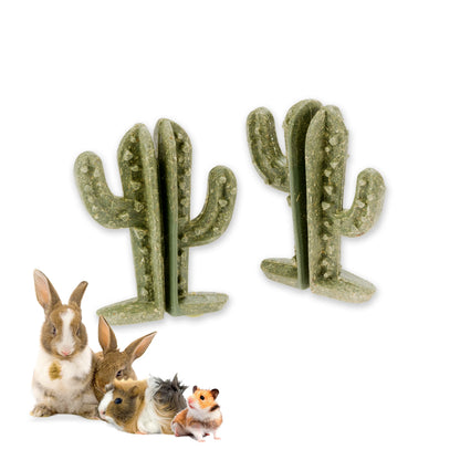 Ferplast Veggie Bites Cactus Dog Snack - Dog snack