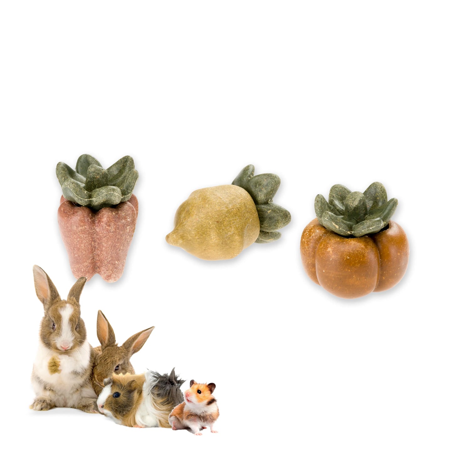 Ferplast Snack Veggie Bites Veg Cão - Snack para cão