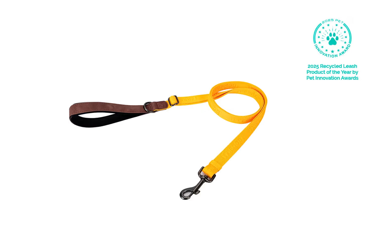 FREEDOG Correa Linum Yellow Sunrise 120 / 180 cm - Trela para cão