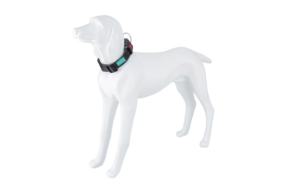 FREEDOG Collar Plus XL Nylon - Coleira para cão