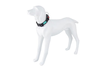 FREEDOG Collar Plus XL Nylon - Coleira para cão