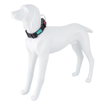 FREEDOG Collar Plus XL Nylon - Coleira para cão