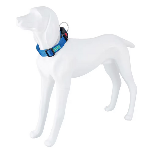 FREEDOG Collar Plus XL Nylon - Coleira para cão