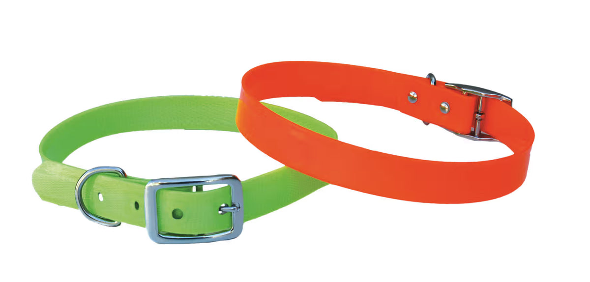 FREEDOG Collar Caza - Collar para perro