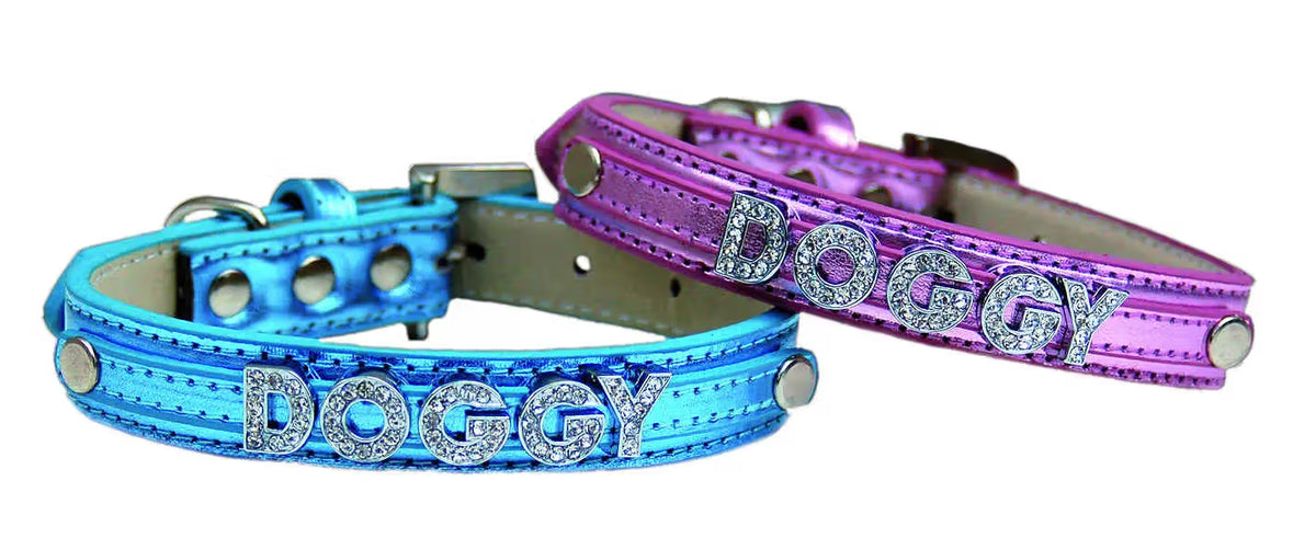 FREEDOG Collar Brightdoggy - Collar para perro