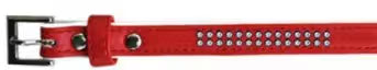 FREEDOG Collar Polipiel Brillantes - Coleira para cão