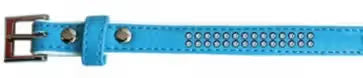 FREEDOG Collar Polipiel Brillantes - Coleira para cão