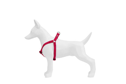 FREEDOG Arnes Tipo a Nylon Reflect - Peitoral para cão